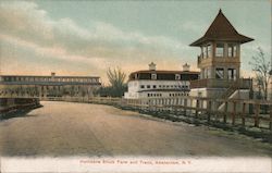 Hurricane Stock Farm and Track Amsterdam, NY Postcard Postcard Postcard