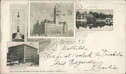 Buffalo New York Postcard