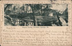Regent Spring Postcard