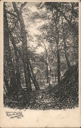 Greetings From Excelsior Springs Postcard