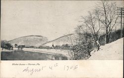 Winter Scene Postcard