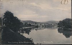 View Looking Up the Allegheny River Warren, PA Postcard Postcard Postcard