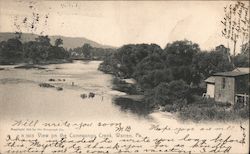 View on the Conewango Creek Postcard