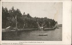 Along the Shore of Spofford Lake Keene, NH Postcard Postcard Postcard