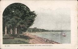 The North Shore Chautauqua Lake, NY Postcard Postcard Postcard