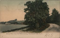 Bemus Point from the Ferry Landing Chautauqua Lake, NY Postcard Postcard Postcard