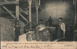 Cleaning Damaged Cotton for Rebaling, Scene at the Pickery, Champion Compress Wilmington, NC Postcard Postcard Postcard