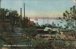 Cape Fear River Postcard