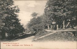 Landscape and Trail in Woods Postcard