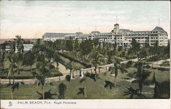 Royal Poinciana Postcard