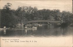 Swan Bridge, Central Park Postcard