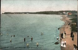 Shore of Lake Ontario Postcard