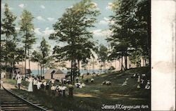 Cayuga Lake Park Seneca, NY Postcard Postcard Postcard