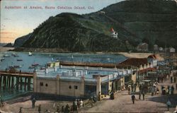 Aquarium at Avalon Postcard