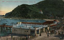 Aquarium at Avalon Postcard