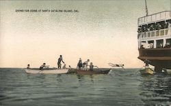 Divinf for Coins Postcard