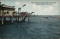 Boys Diving for Coins all the Year Around Postcard