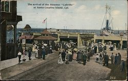 Arrival of the steamer "Cabrillo" Santa Catalina Island, CA Postcard Postcard Postcard