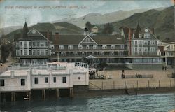 Hotel Metropole at Avalon Postcard