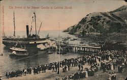 The Arrival of the Steamer Cabrillo Postcard