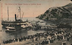 The Arrival of the Steamer Cabrillo Santa Catalina Island, CA Postcard Postcard Postcard