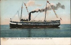 Steamer Cabrillo in Avalon Harbor Postcard