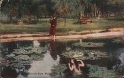 View in Riverside Park Postcard