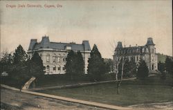 Oregon State University Postcard