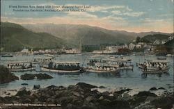 Glass Bottom Row Boats and Diver, Showing Sugar Loaf, Submarine Gardens, Catalina Island Avalon, CA Postcard Postcard Postcard