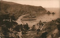 The Bay of Avalon Postcard