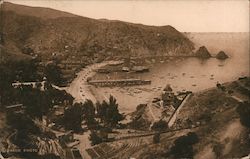 The Bay of Avalon Santa Catalina Island, CA Postcard Postcard Postcard