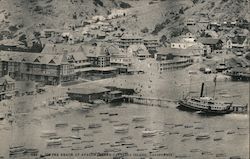 On the beach at Avalon Postcard