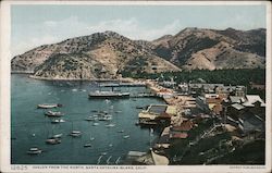Avalon from the North Postcard