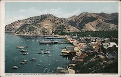 Avalon from the North Santa Catalina Island, CA Postcard Postcard Postcard