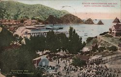 Avalon Amphitheatre and Bay Postcard