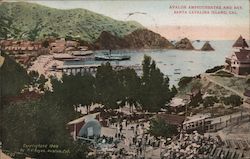 Avalon Amphitheatre and Bay Santa Catalina Island, CA Postcard Postcard Postcard