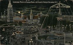 General View of Luna Park At Night Postcard
