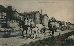 Along Erie Canal Postcard