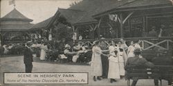 Scene in Hershey Park Postcard
