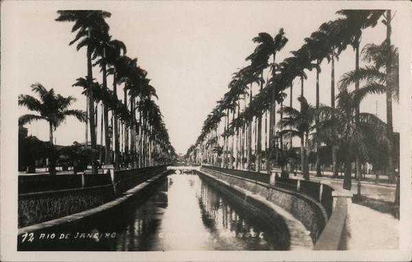 Canal & Palms Rio de Janero Brazil