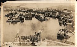 Wellington Harbor and City Original Photograph