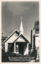 Wayside Shrine of St Francis, Grace Cathedral Postcard
