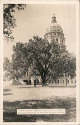 The Old Cottonwood on the State Capitol Grounds Topeka, KS Wolfe Postcard Postcard Postcard