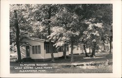 Elmwood Resort, West Shore of Lake Mary Alexandria, MN Postcard Postcard Postcard