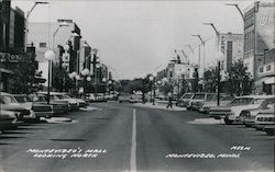 Montevideo's Mall Looking North Postcard