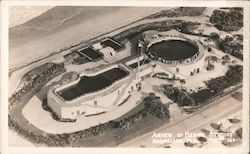 Aerial View of Marine Studios Postcard