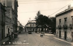 Avenue Colon Postcard