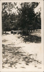 Mammoth Hot Springs Campground Yellowstone National Park, WY Original Photograph Original Photograph Original Photograph