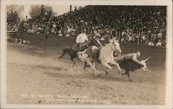 Guy Schults Bulldoging Rodeos Postcard Postcard Postcard