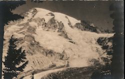 The Mountain - Ranier National Park Postcard